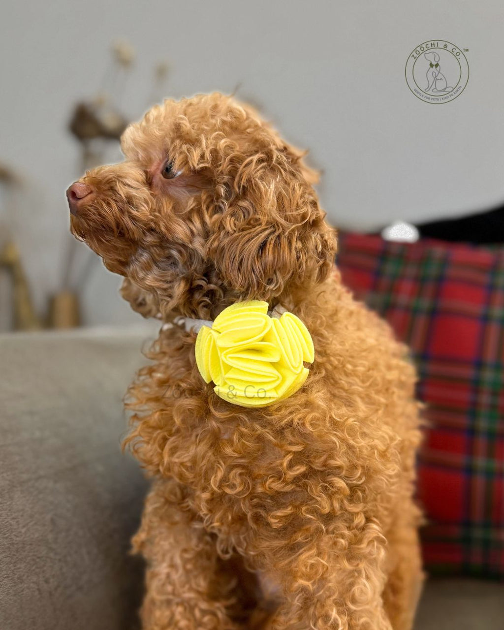 Ecofur Bloom - Floral bow for dogs & cats - (SET OF 2)