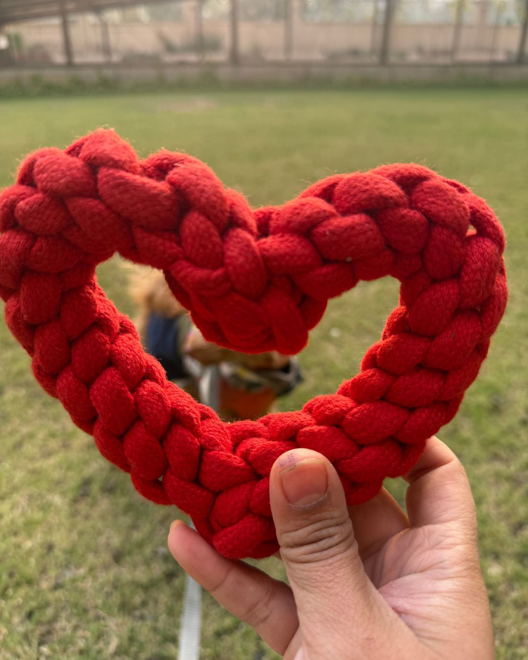 PawKnot Heart, Limited Edition Love Toy