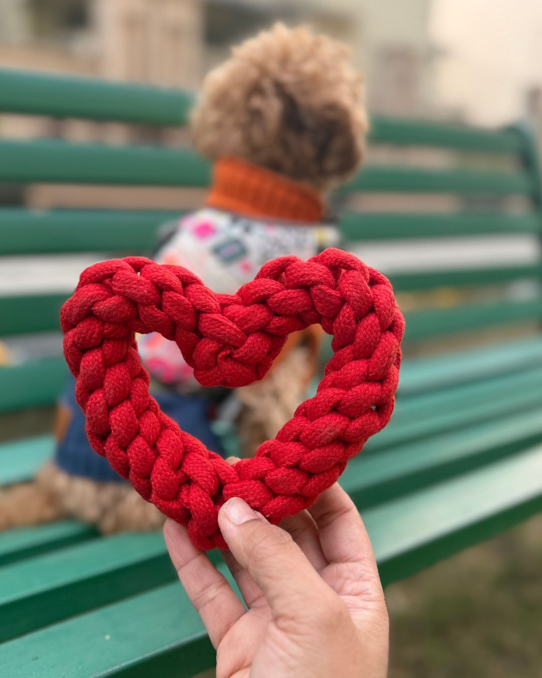 PawKnot Heart, Limited Edition Love Toy