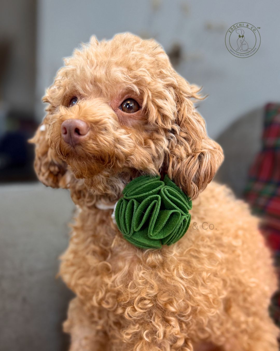 Ecofur Bloom - Floral bow for dogs & cats - (SET OF 2)