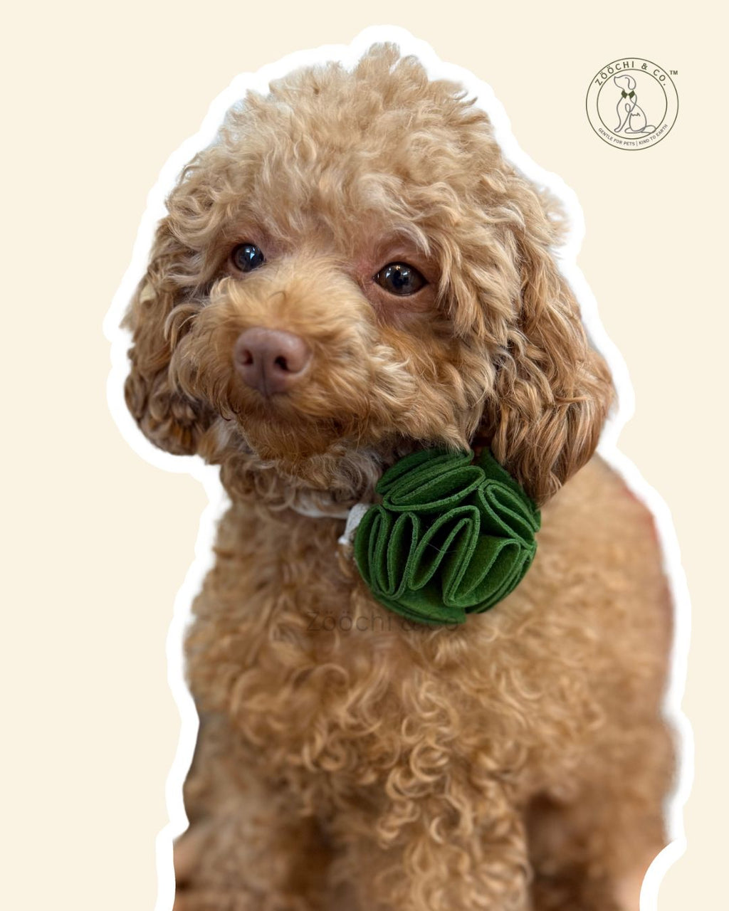 Ecofur Bloom - Floral bow for dogs & cats - (SET OF 2)