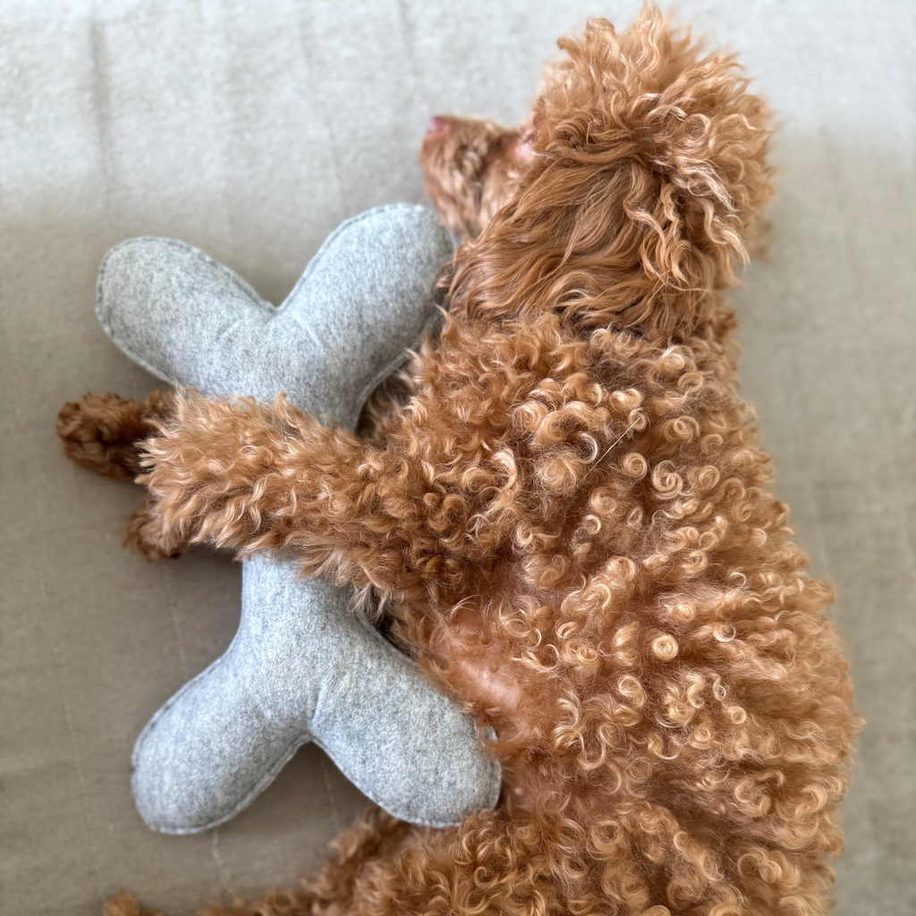 Zööchi & Co. - EcoChomper Bone Squeaky Toy