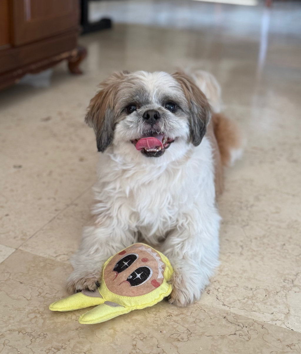 Zööchi & Co. Pawbu Squeaker Toy