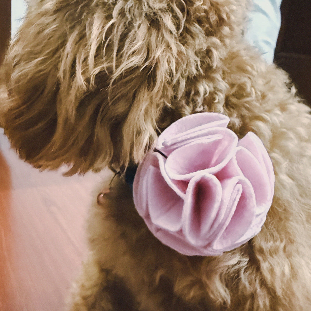 Ecofur Bloom - Floral bow for dogs & cats - (SET OF 2)