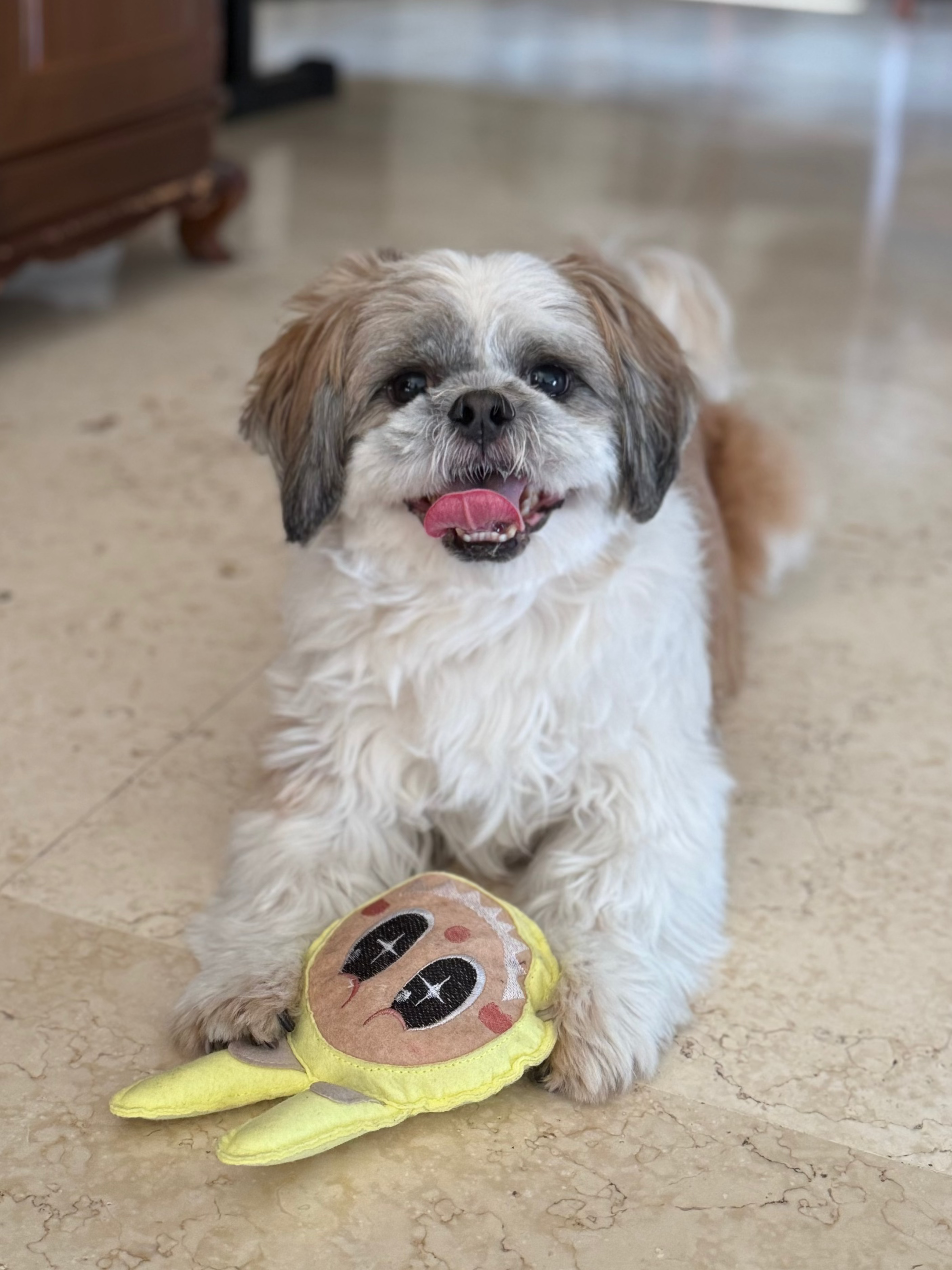 labubu like toy for dogs 