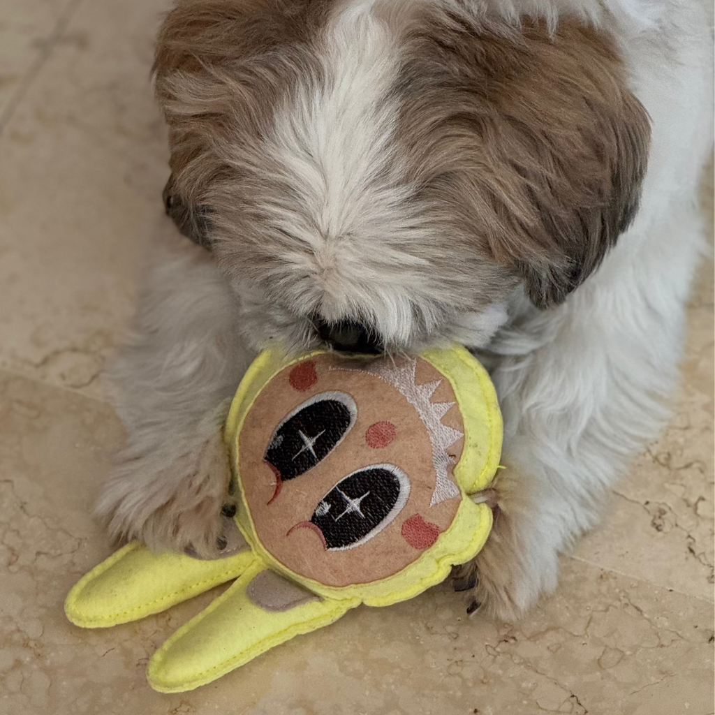 Zööchi & Co. Pawbu Squeaker Toy